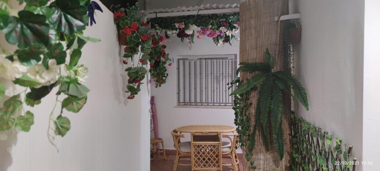 Tus Vacaciones En El Corazon De Alicante! Luaran gambar